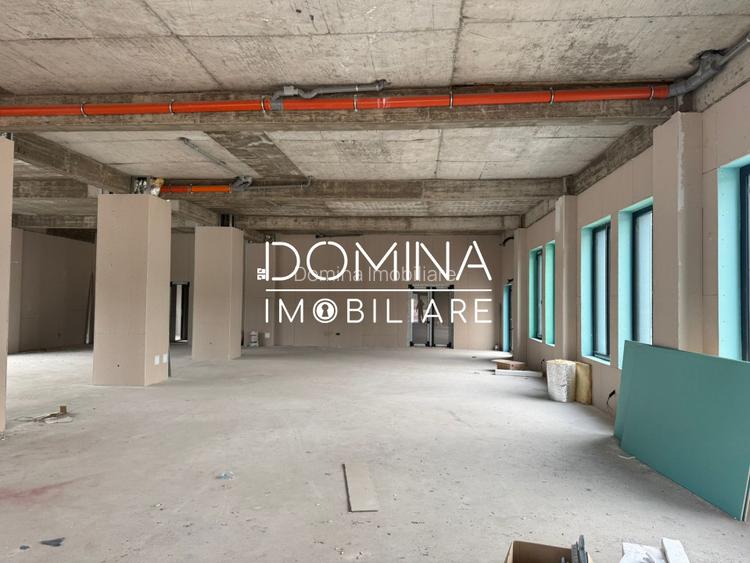 Închiriere spațiu comercial *peste 350 mp cu parcare* - strada Tineretului - 4