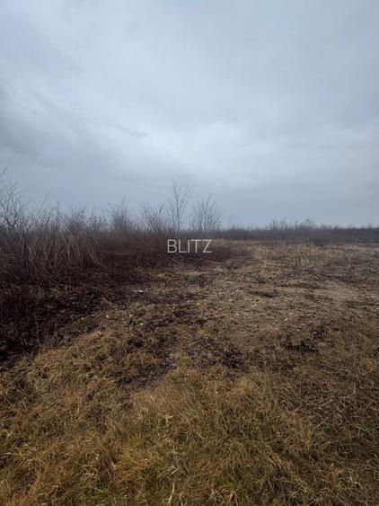 Teren extravilan Bușag 82 ari, plan drept, lângă Lăpuș, acces drum - 2