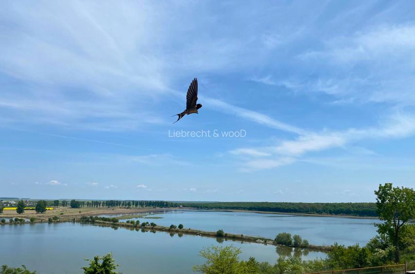 Liziera de Lac - 17