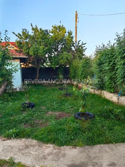 Casa de vacanta la 40 min de Bucuresti - 3