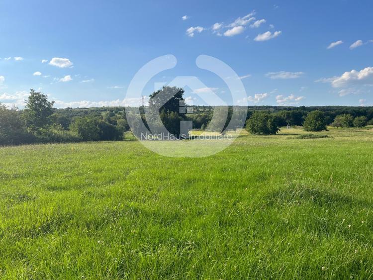 Teren intravilan constructii 6668 mp - Rasinari, Sibiu - 2