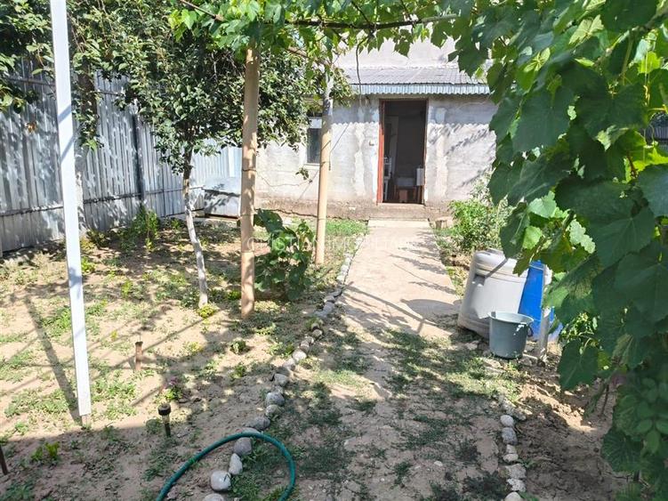 Casa 4 camere, Radu Negru - Buzaului, Teren - 264 mp - 8