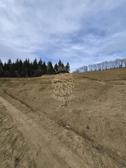 Teren 500 mp- 5 minute centru- investitie, cabana in natura, Bistrita