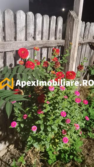 Cotroceni | Casa 3 Camere | Curte | Renovata | Pod Mansardabil