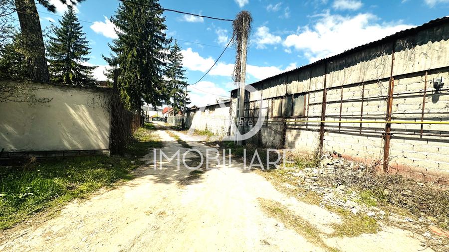 De vanzare Teren + Hale  in Targu Jiu, Bârsești - 2