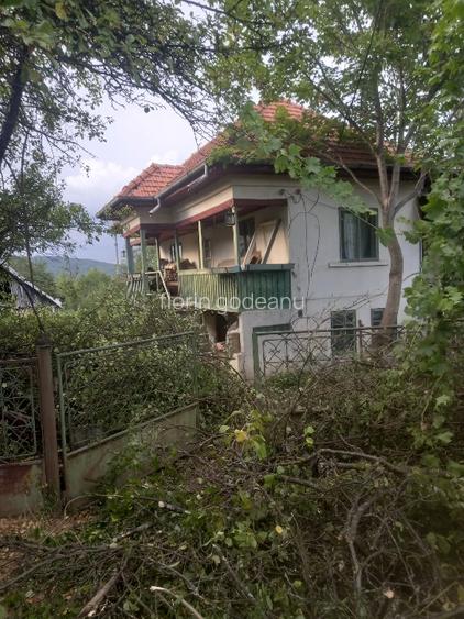 Vând casă și teren cu pomi fructiferi - 3
