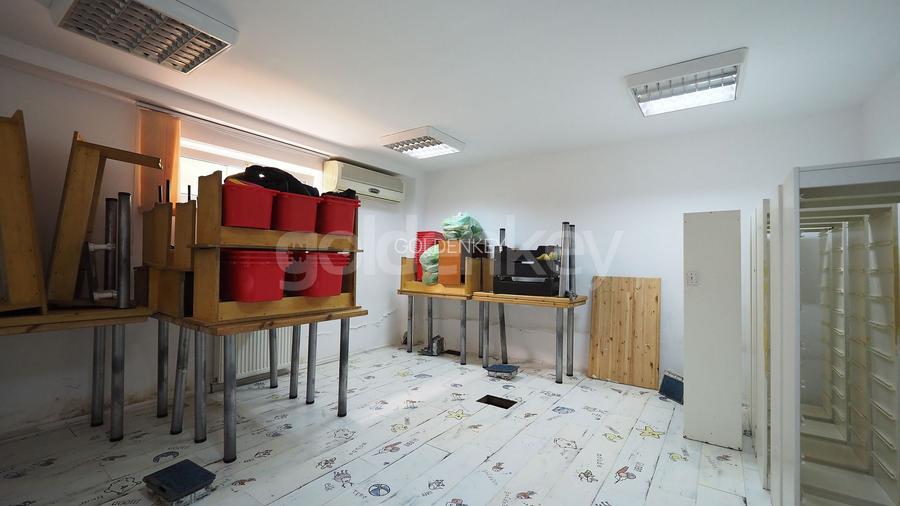 Vilă cu 8 camere langa parc | 450mpc | 400mp teren - 14