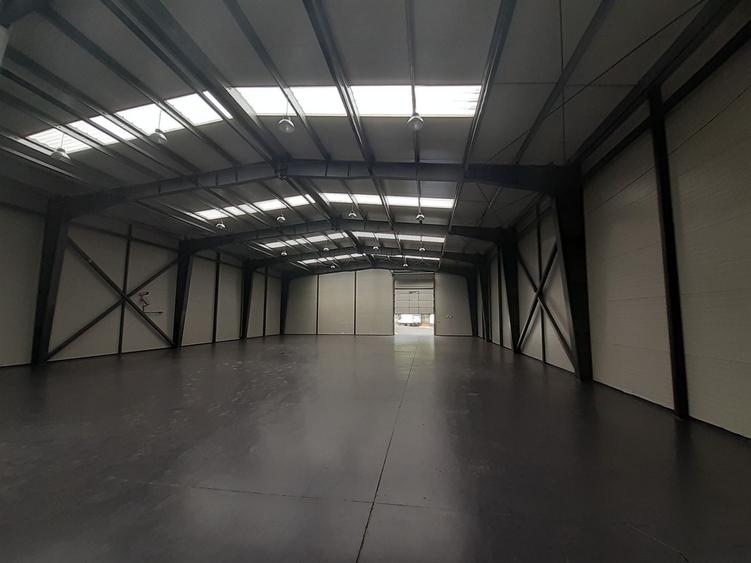 Hale de 500mp si 600mp in zona Progresul, Jilava
