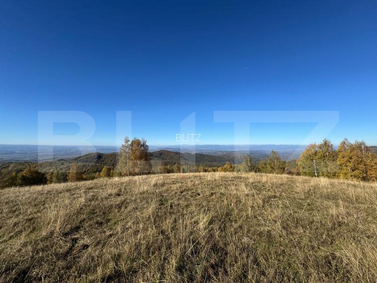 Teren extravilan 54.722 mp in Târsa - 3