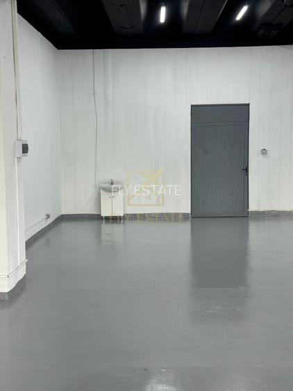 Spatiu Industrial | Pallady - 11