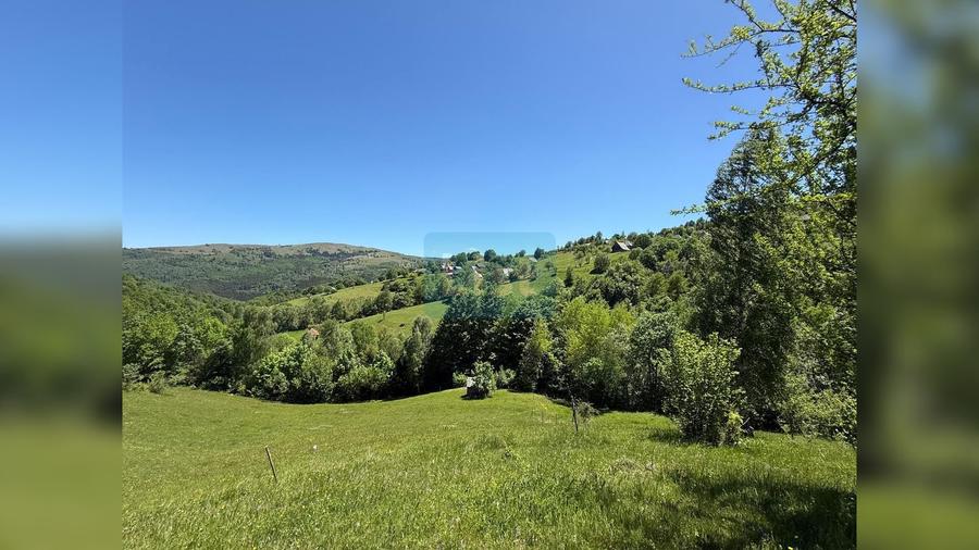 Teren de vânzare în Răchițele – 10.479 mp ! Priveliste panoramica !