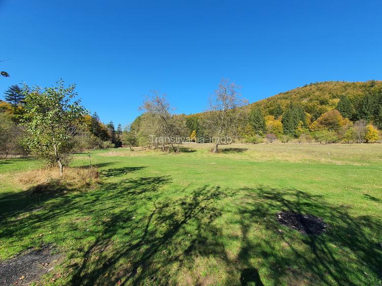 Teren 18.800 mp Săcele – Brădet | Acces DN1A | Deschidere 250 ml
