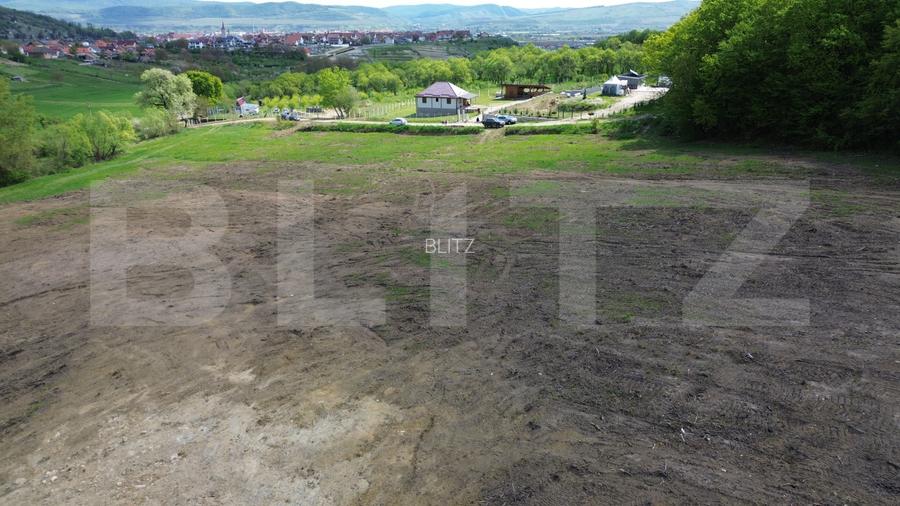 Teren 15.100 mp la baza pădurii – ideal parcelare | 14 loturi | priveliște super - 11