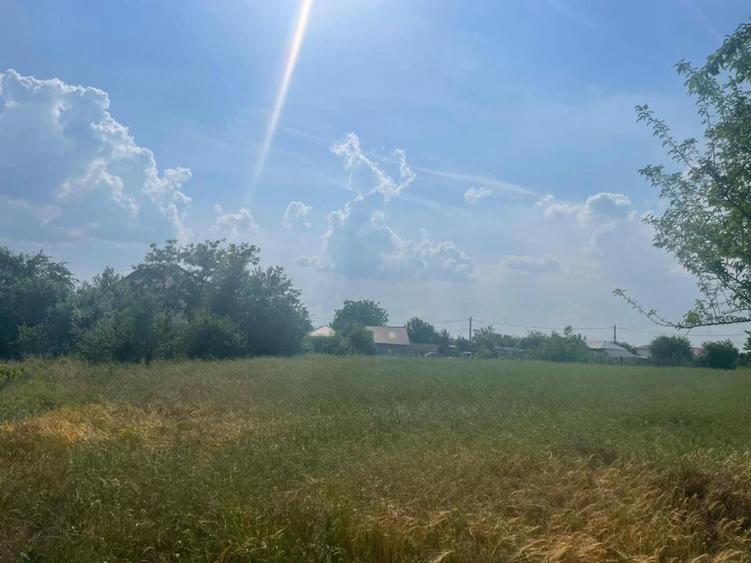 Vanzare teren intravilan Cernica_Tânganu, lot 954mp
