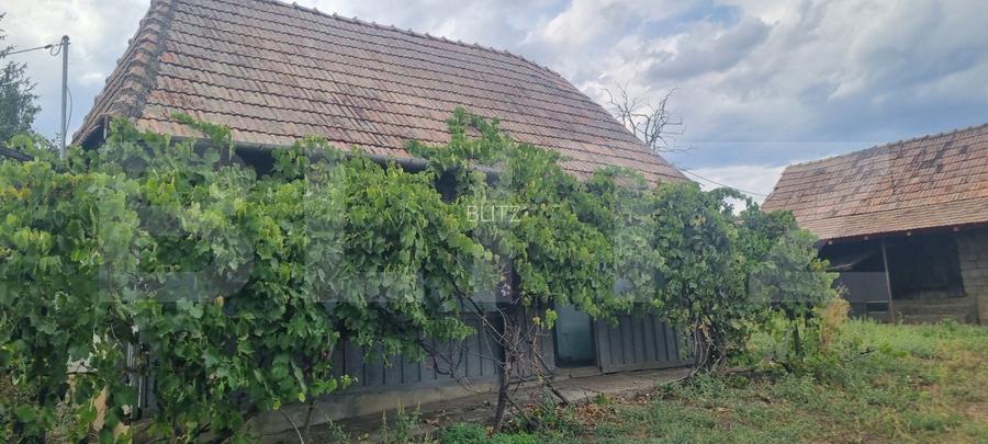Casa 2 corpuri si anexe, 69 mp, zona Tritenii de Sus - 4