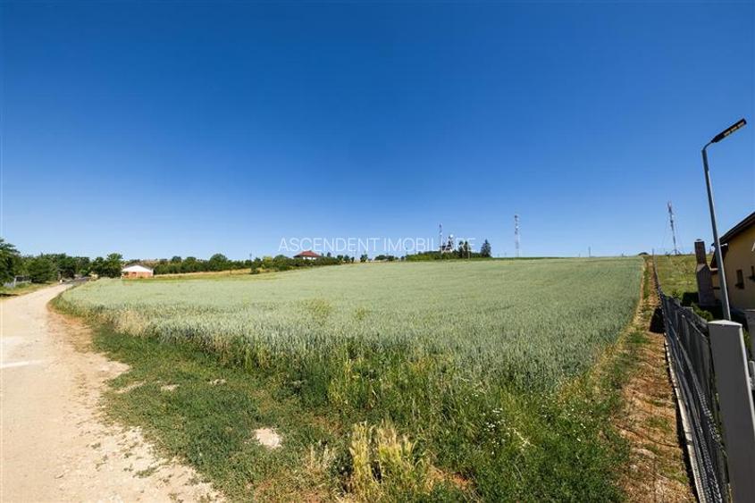 5 loturi casa Maierus,1.375mp,langa DN13, Doripesco,Brasov: 35min, zona verde:FI - 12