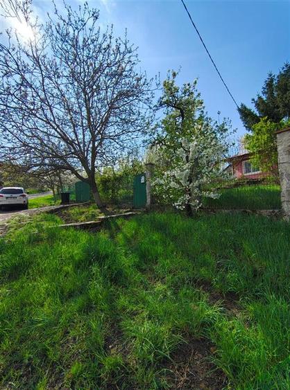 UAT Iasi - Trecatoarea Paun - Teren intravilan Bucium 750mp