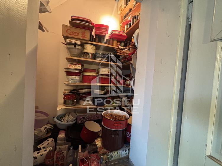 Casa 2 camere de vanzare Calea Sagului, Timisoara, curte comuna