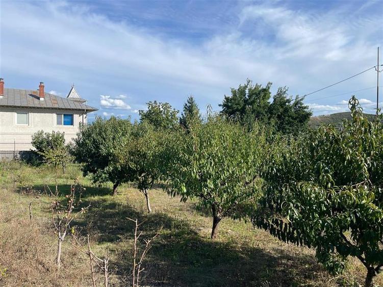 Teren de vanzare zona Al cel Bun Tulcea