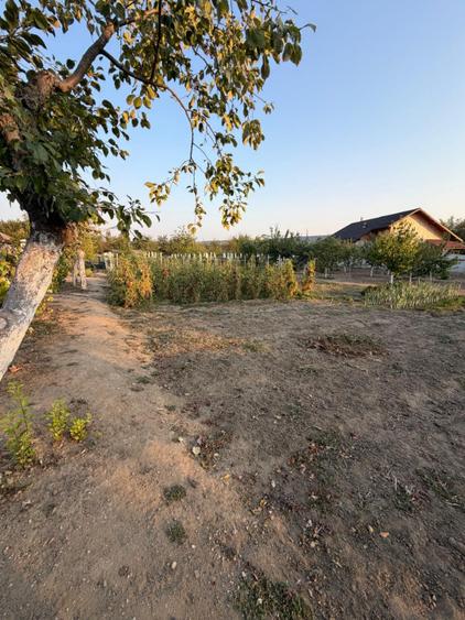 Casa de vanzare, 80 mp, teren 2330 mp, zona Arginesti