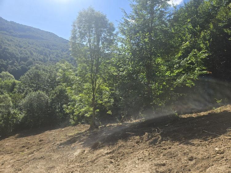 Teren Valea Doftanei, zona Pe Vale - Baraj Paltinu