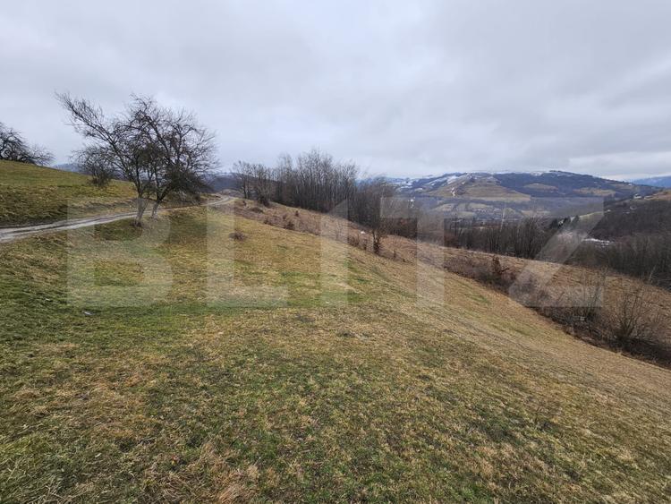 Teren extravilan de 13139 mp – Abrud