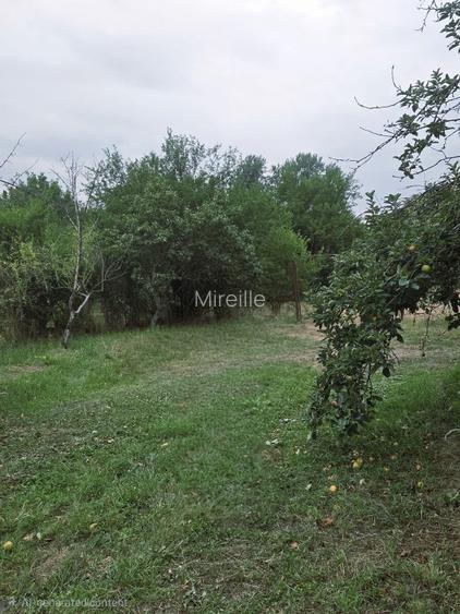 Casa de inchiriat in Clinceni-Olteni la doar 15km de Bucuresti - 6