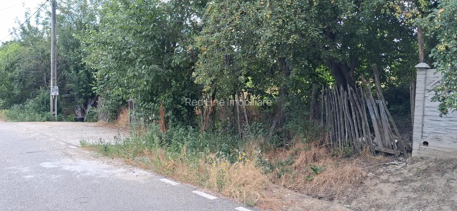 Teren Intravilan  in Tismana (Comuna Devesel), la 200 ml de Dunare - 2