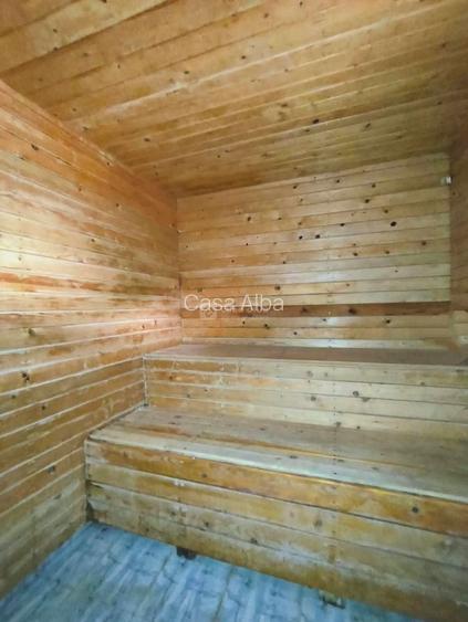 Copou, proprietate spatioasa de inchiriat, D+P+E, SAUNA - 6