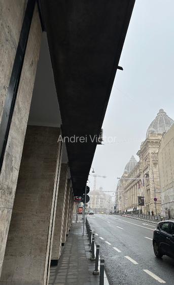 Spatiu Comercial Calea Victoriei 1 Stradal Vad comercial zona intens circulata - 7