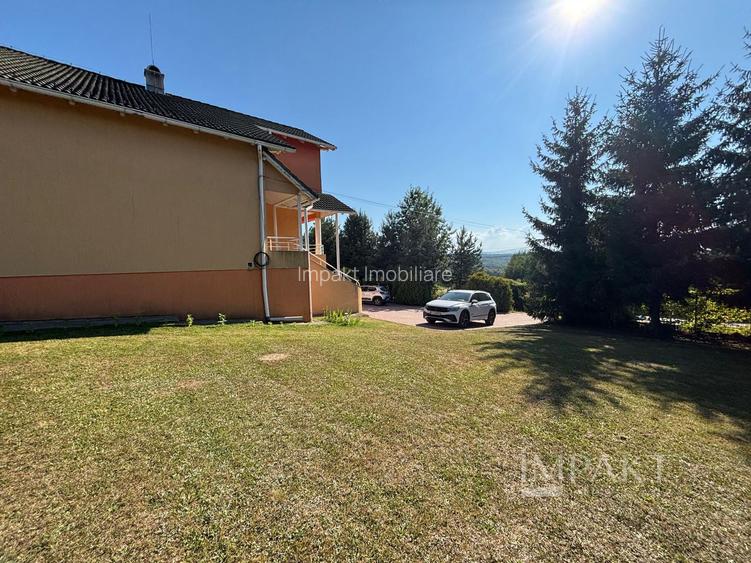 De închiriat casa Făget -teren 2400mp - 8