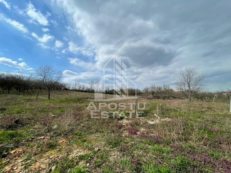 Teren intravilan pentru investitie, 2896 mp, Herneacova Timis