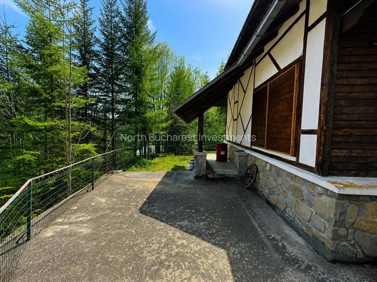 CABANA IN ZONA SINAIA - TEREN 550MP - 3