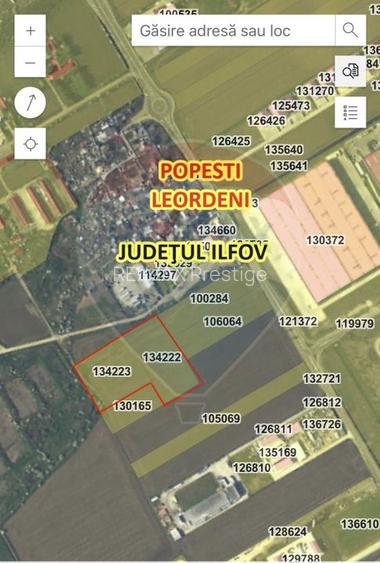 Teren intravilan 20,000mp Popesti-Leordeni intre centura Buc si A0 - 2