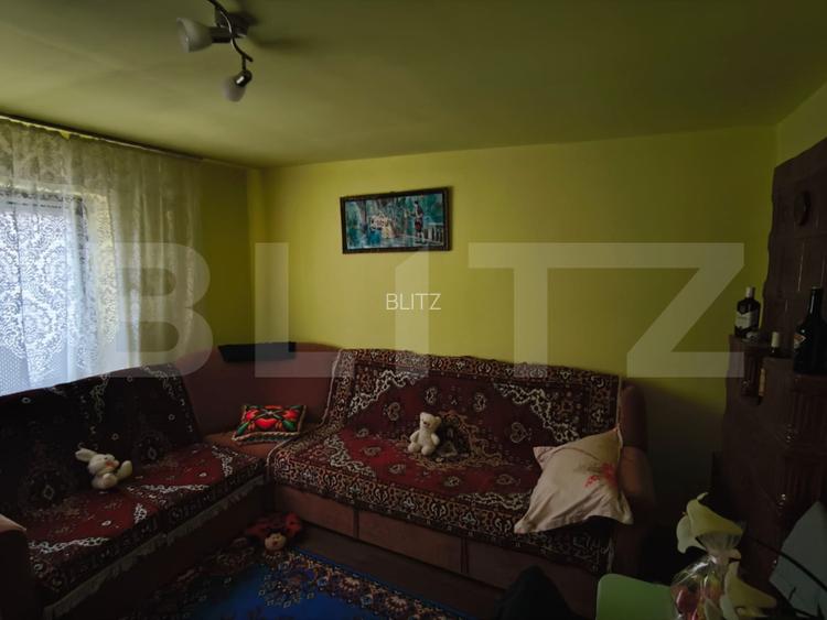 Gospodarie deosebita, casa de locuit, spatiu comercial, 155 mpu si 200mp teren - 5