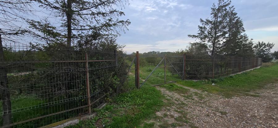 LIVADA DE VANZARE FOCSANI-DUMBRAVITA 1,8 HA