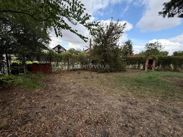 CASĂ DE VACANȚĂ ÎN GRADINA VIILOR CAREI CU 1.924 MP TEREN FRONT 15M - 3