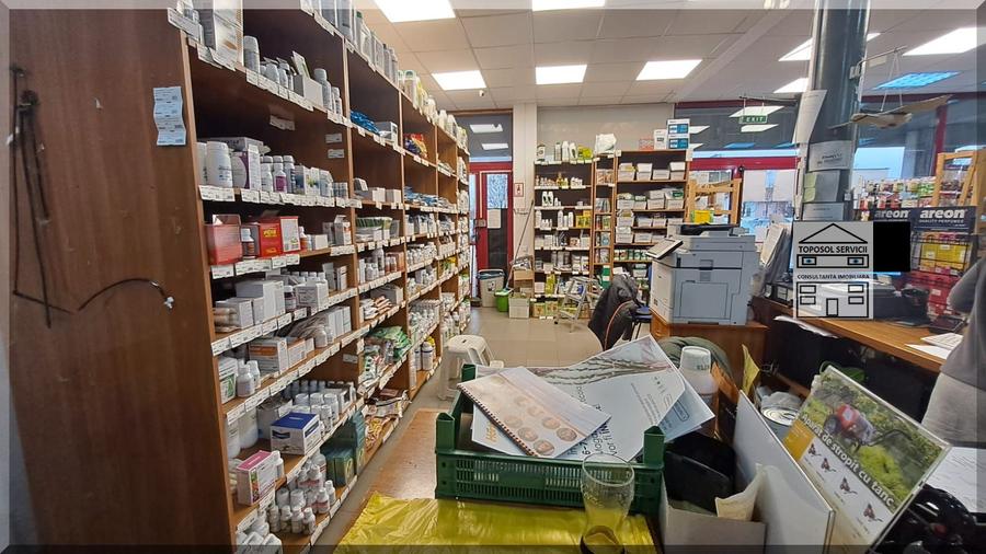 Spatiu comercial – Magazin desfacere produse, depozit si birouri in Oradea