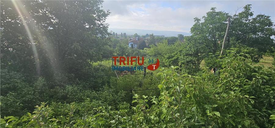Teren intravilan construibil 766mp Cetate zona Schit