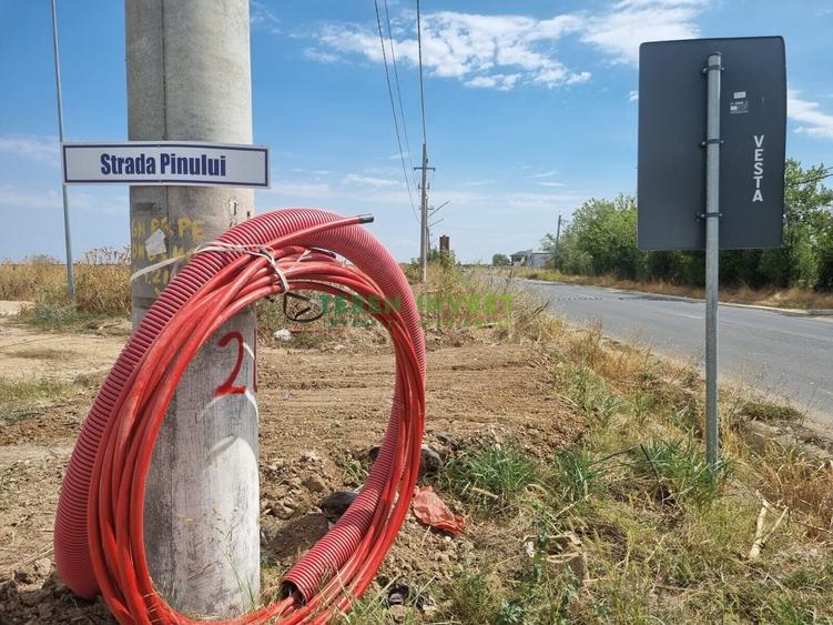 TÂNGANU / CERNICA  - TEREN INDUSTRIAL 5.000 MP