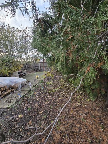Exclusivitate! Proprietate in Sendreni, jud. Galati -  59.900 EUR