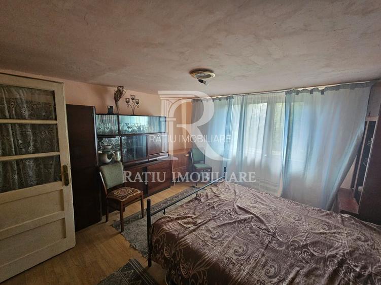Casa cu teren generos | Spinus | Bihor - 2