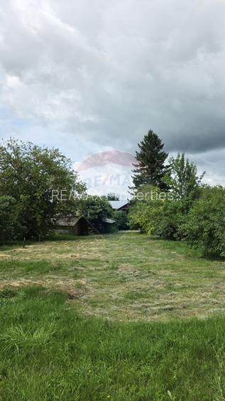 Domeniu rural, gospodarie/multifunctionala cu casa, livada, vie - 33