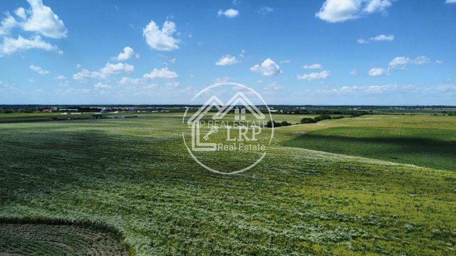 Teren Intravilan 9.918 mp Creața Dascălu, T66– Parcelabil - 12