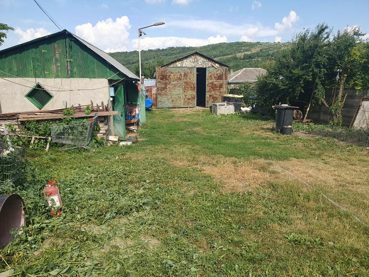 Teren cu hala și anexa