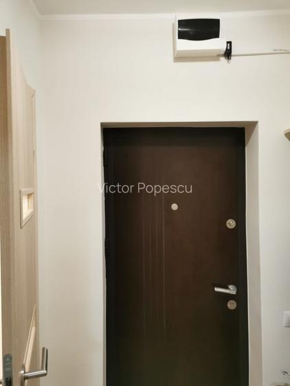 Proprietar, Tineretului - Palatul Copiilor , Centrala, Parcare - 13