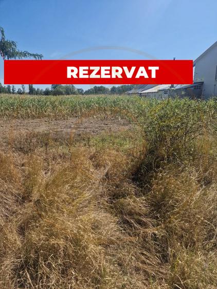 Teren Mosoaia, Lazaresti!