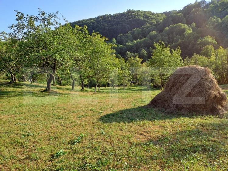 Casă de vânzare, 100 mp, teren 10.000 mp, zona Almașu Mare
