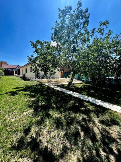 Casa 3 camere 2 bai Dealuri Gheorghe Doja - 2