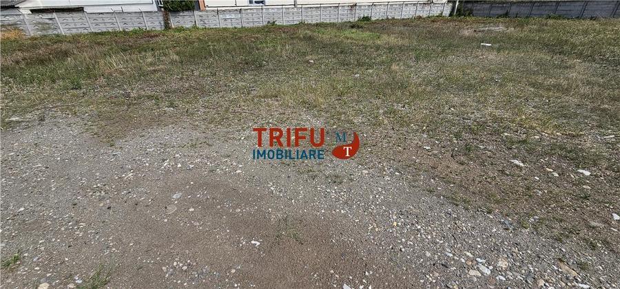 Hala de inchiriat Alba Iulia